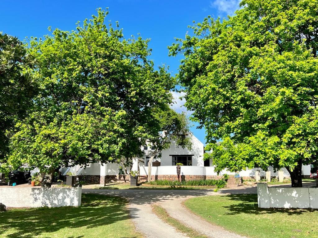 Bitou River Lodge Plettenbergbaai Buitenkant foto