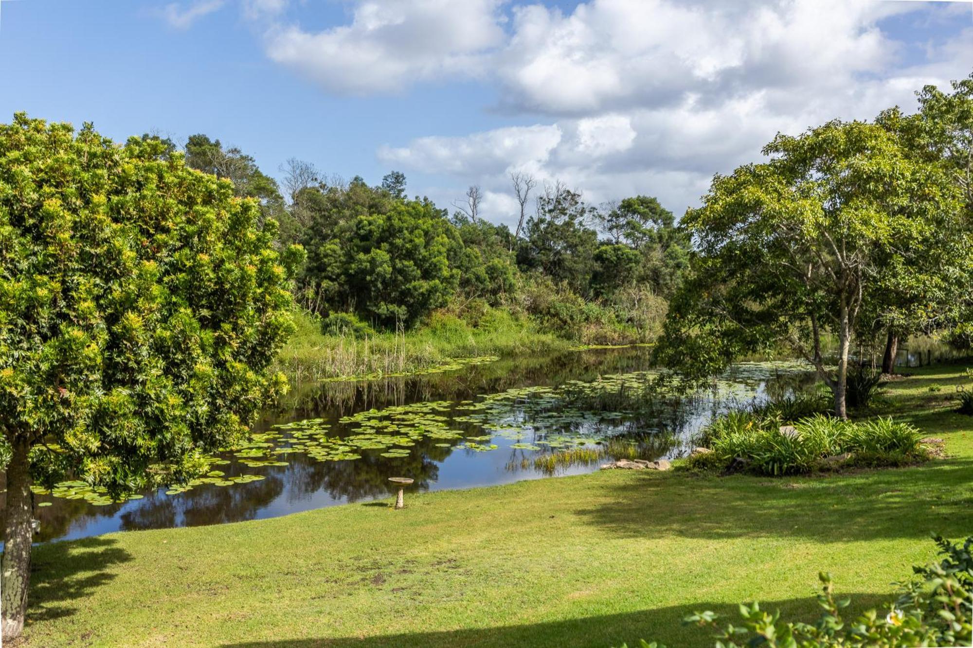 Bitou River Lodge Plettenbergbaai Buitenkant foto